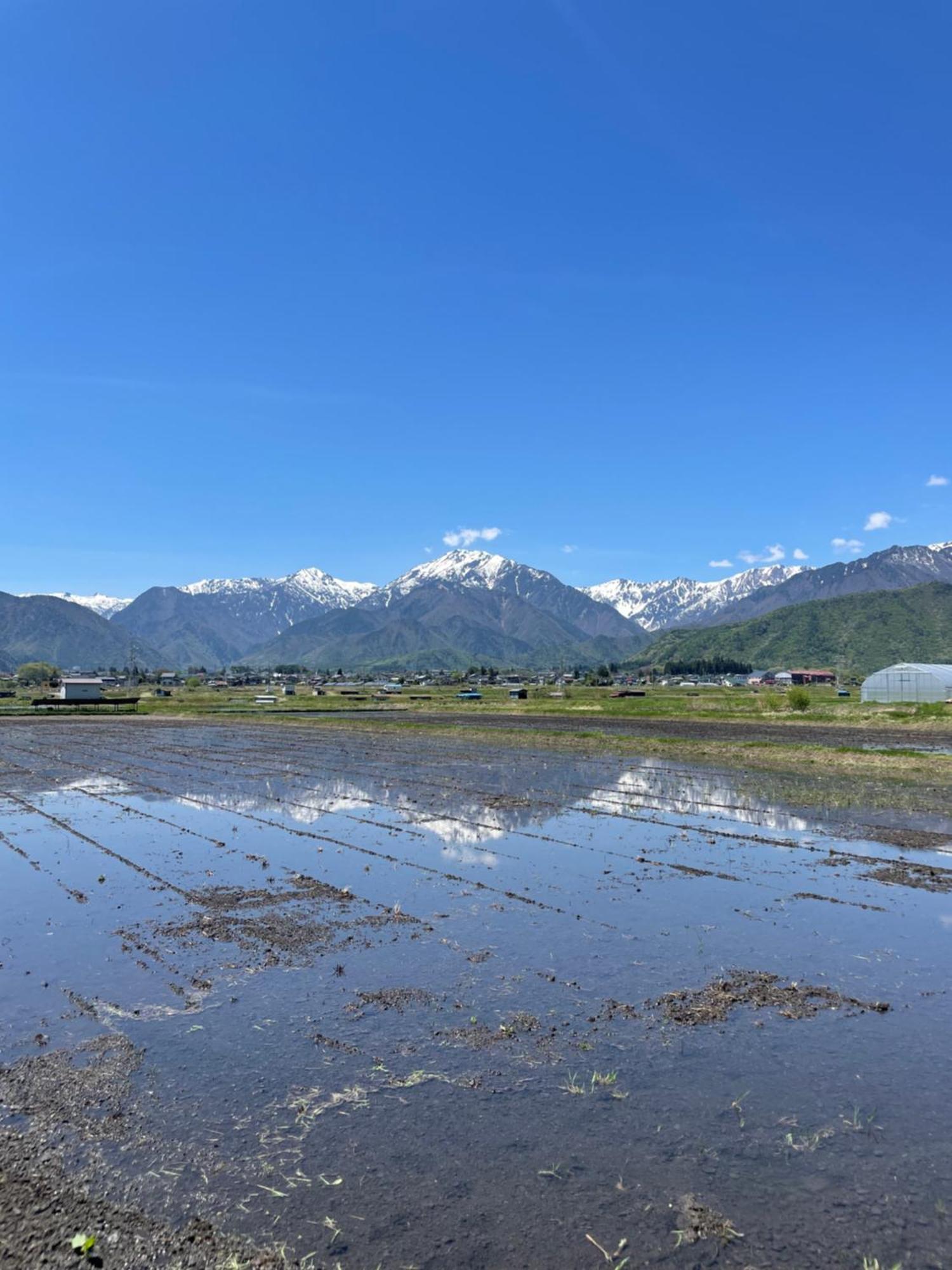 北アルプス麓のゲストハウス林屋 大町市 エクステリア 写真