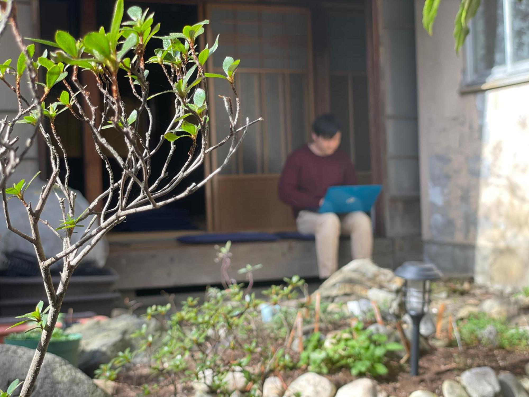 北アルプス麓のゲストハウス林屋 大町市 エクステリア 写真